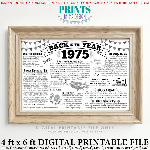 Back in the Year 1975 Poster, Remember 1975 Banner, Flashback to 1975 USA History from 1975, PRINTABLE 4'x6' (48"x72") Sign, Instant Download Digital Printable File